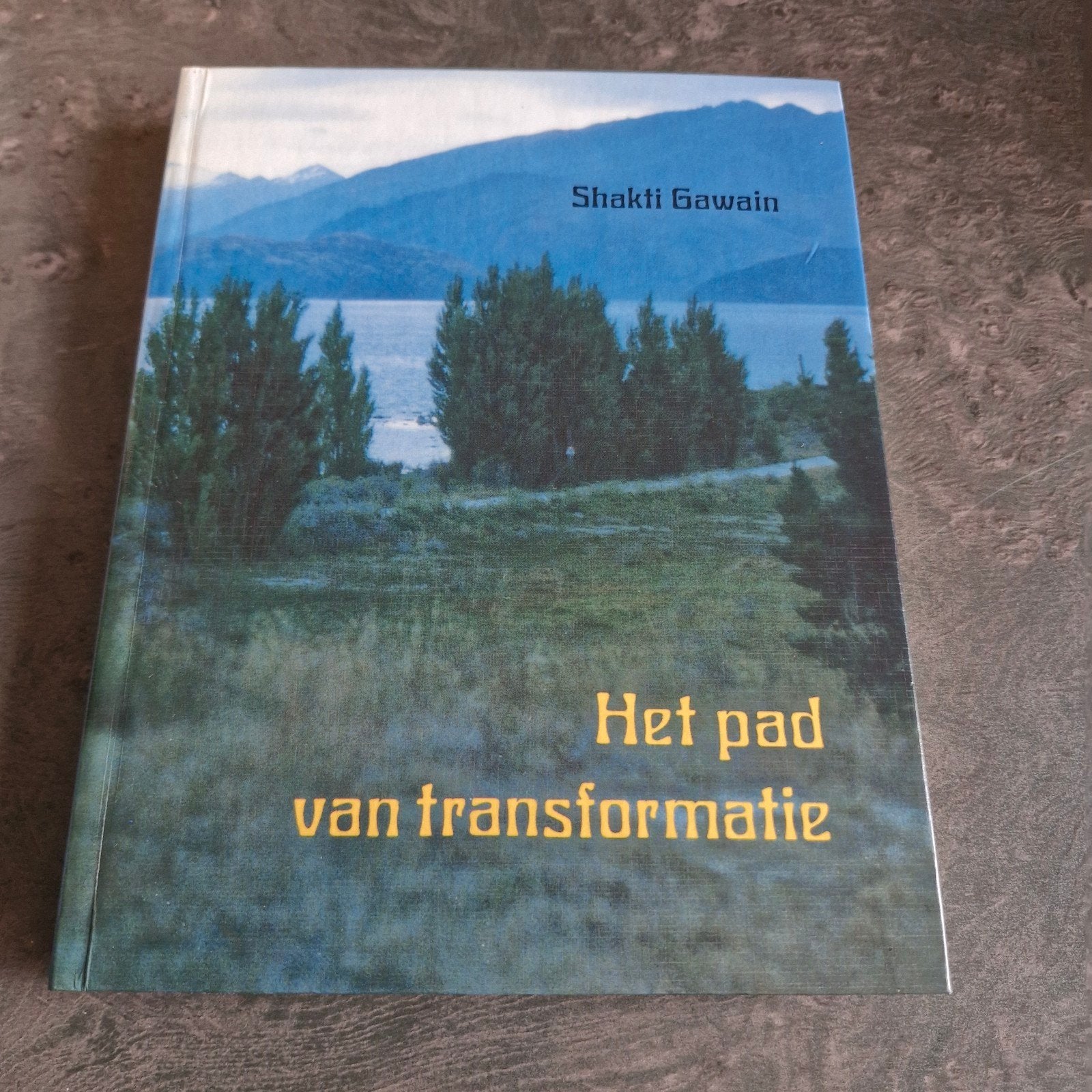 Het pad van transformatie - Shakti Gawain, Achtergrond en Informatie, Spiritualiteit algemeen, Shakti Gawain, Ophalen of Verzenden