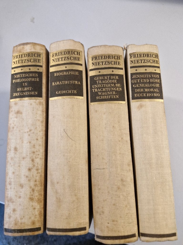 Nietzsche, Boeken, Gelezen, Nietzsche, Ophalen of Verzenden, Praktische filosofie