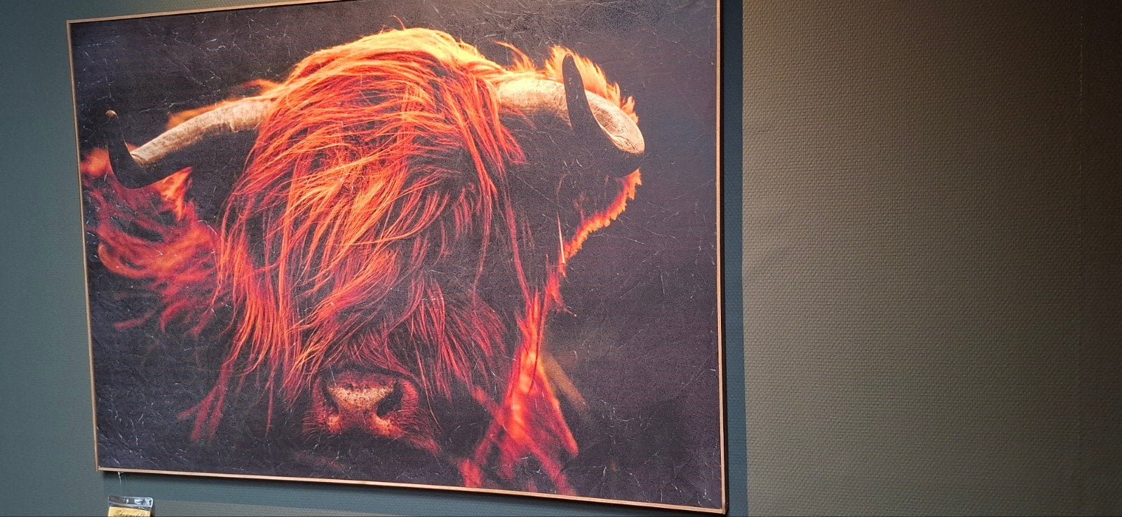 Schilderij Schotse Hooglander, Ophalen, Nieuw, Schilderij