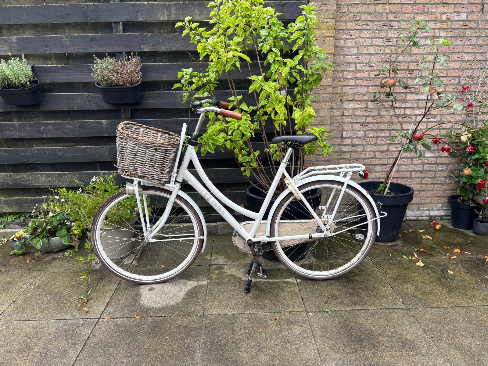 Cortina fiets, gebruikt, kan nog een ronde mee, Terugtraprem, Gebruikt, Versnellingen, 50 tot 53 cm