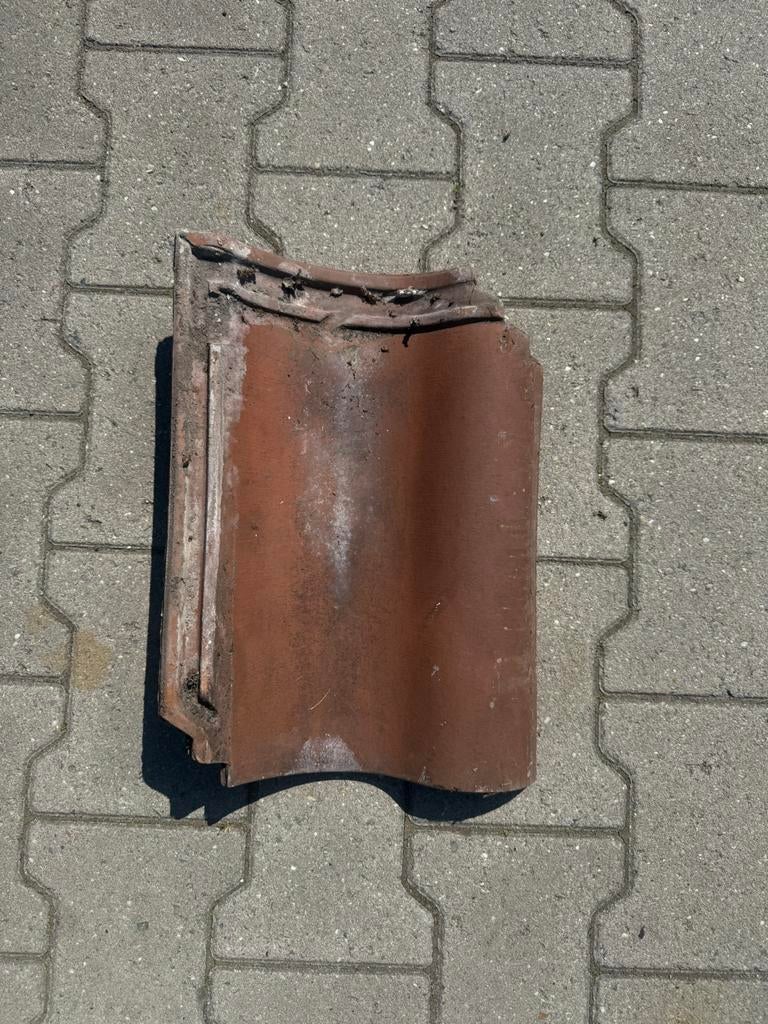 OVH Meleurd herfst 3000 stuks, Ophalen, Gebruikt