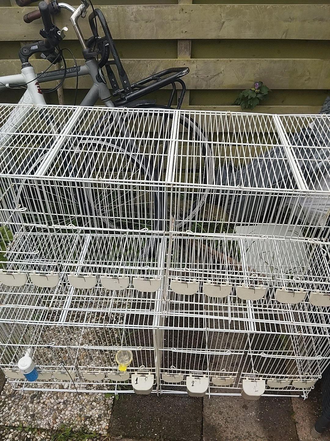 broedkooien - kweekkooien van 102 cm breed Zeven kooien, Dieren en Toebehoren, Ophalen of Verzenden, Broedkooi of Kweekkooi