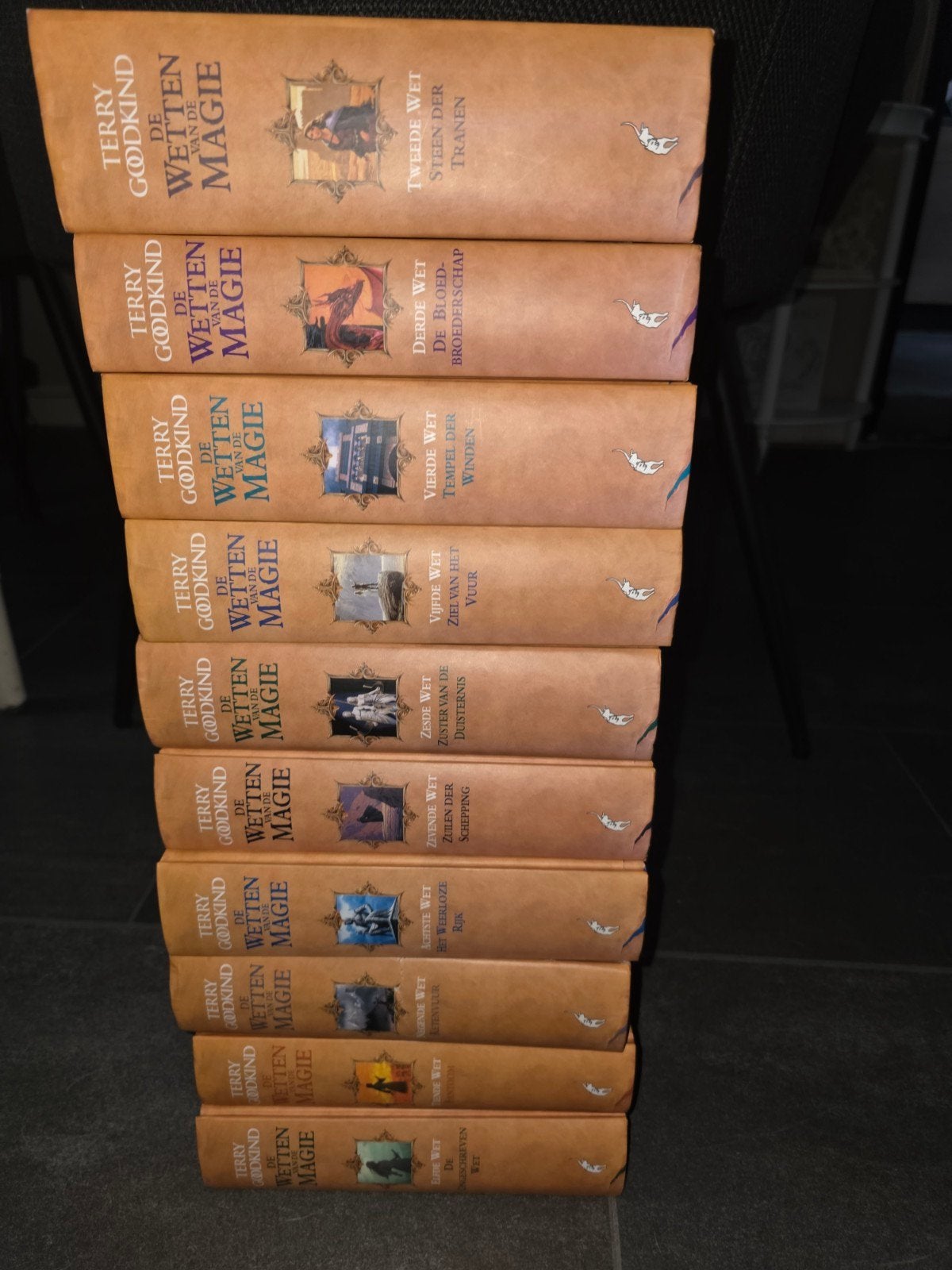 Terry goodkind De wetten van de magie, Boeken, Ophalen of Verzenden, Zo goed als nieuw