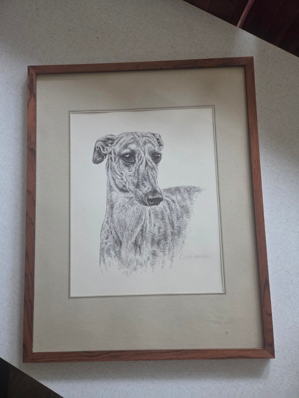 Ingelijste pentekening van een windhond, Verzamelen, Ophalen of Verzenden, Gebruikt, Hond of Kat, Overige typen