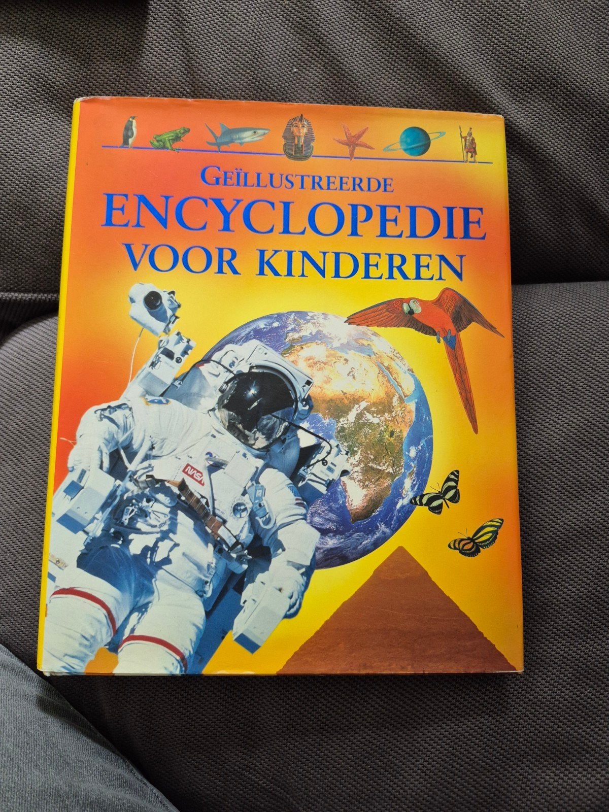 Geïllustreerde Encyclopedie voor Kinderen, Boeken, Gelezen, Neil Morris, Ophalen of Verzenden, Los deel