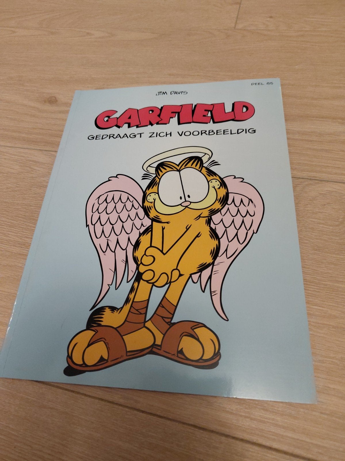 Garfield: Gedraagt Zich Voorbeeldig (Deel 65), Eén stripboek, Ophalen of Verzenden, Gelezen, Jim Davis