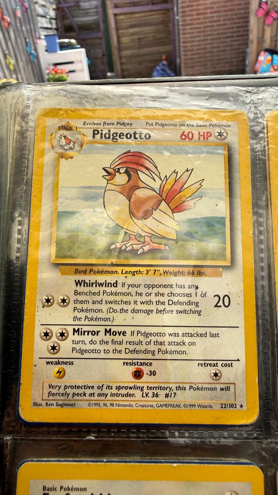Pokémon Pidgeotto Kaart 22/102 (1999 Wizards), Verzenden, Gebruikt, Losse kaart