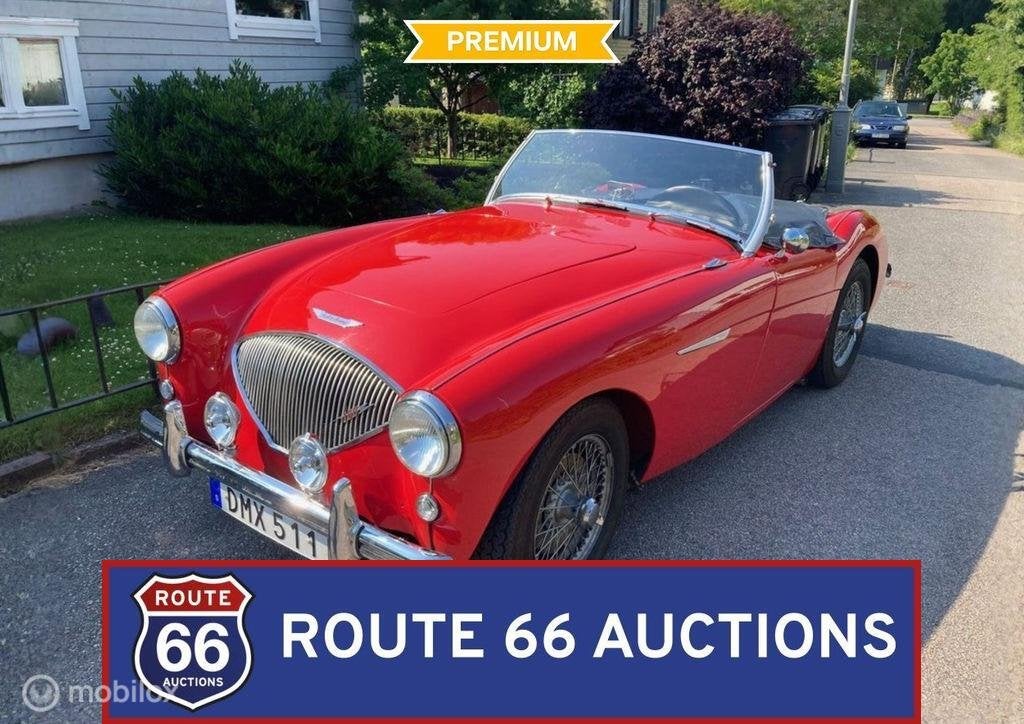 Austin-Healey 100 | 1954 | Route 66 Auctions, Auto's, Austin, Overige carrosserieën, Zwart, Bedrijf
