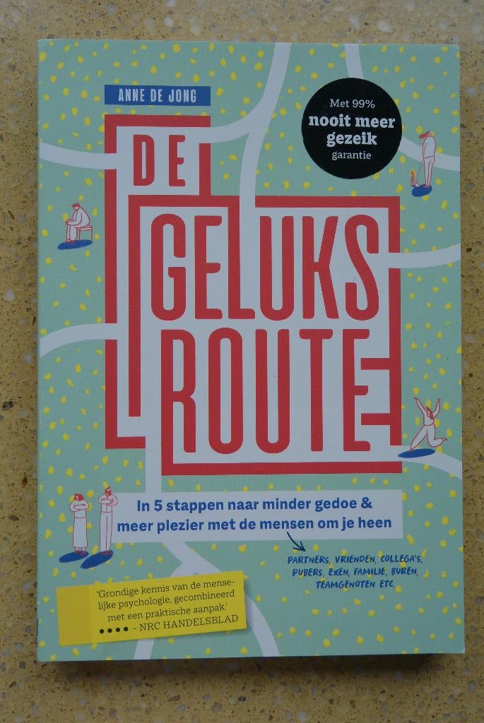 De geluksroute In 5 stappen Anne de Jong, Ophalen of Verzenden, Zo goed als nieuw, Anne de Jong