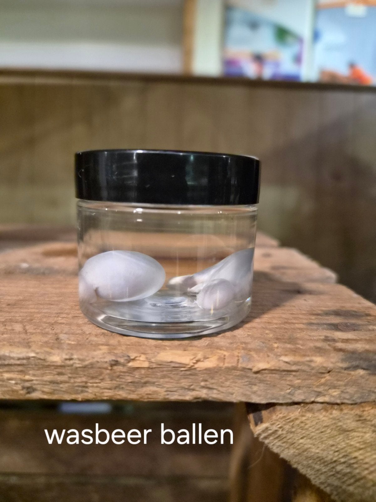te koop: wasbeer testikels op sterk water, Ophalen of Verzenden, Nieuw, Wild dier, Beeldje of Figuurtje