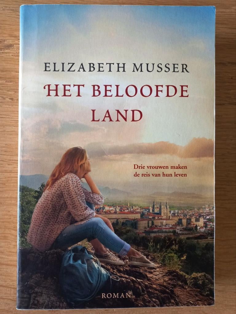 Het beloofde land, Elizabeth Musser, christelijke roman IZGS, Ophalen of Verzenden, Gelezen, Wereld overig