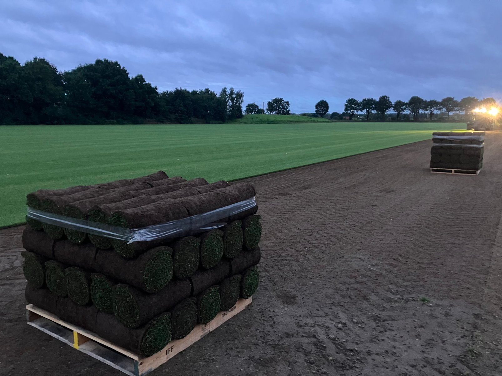 Graszoden top kwaliteit sinds 2002, Ophalen of Verzenden, Nieuw, 20 m² of meer