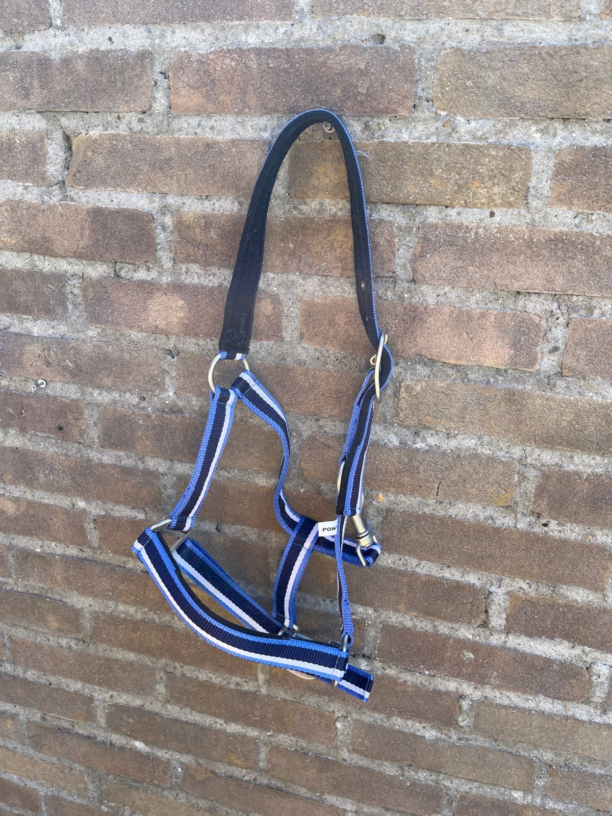 halster pony, Ophalen