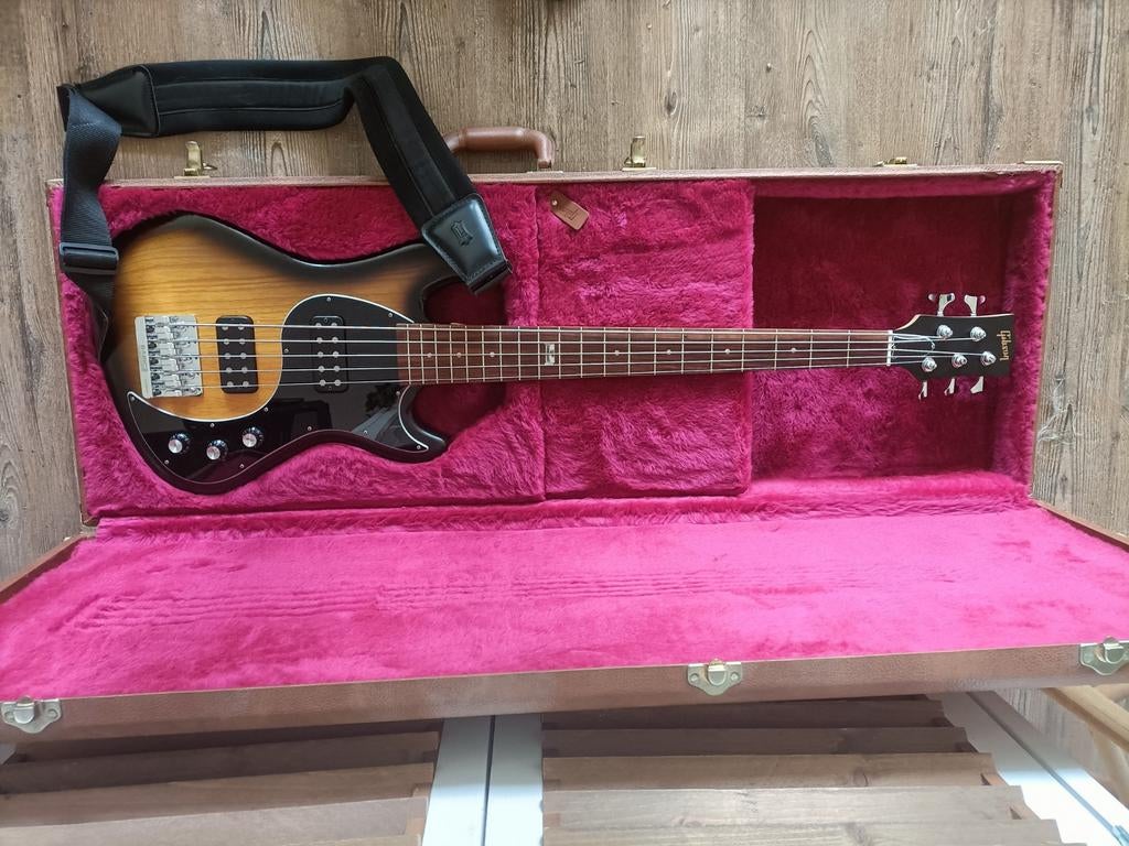 Gibson EB Bass 5-snarig met koffer, Muziek en Instrumenten, Ophalen, Gebruikt, 5-snarig