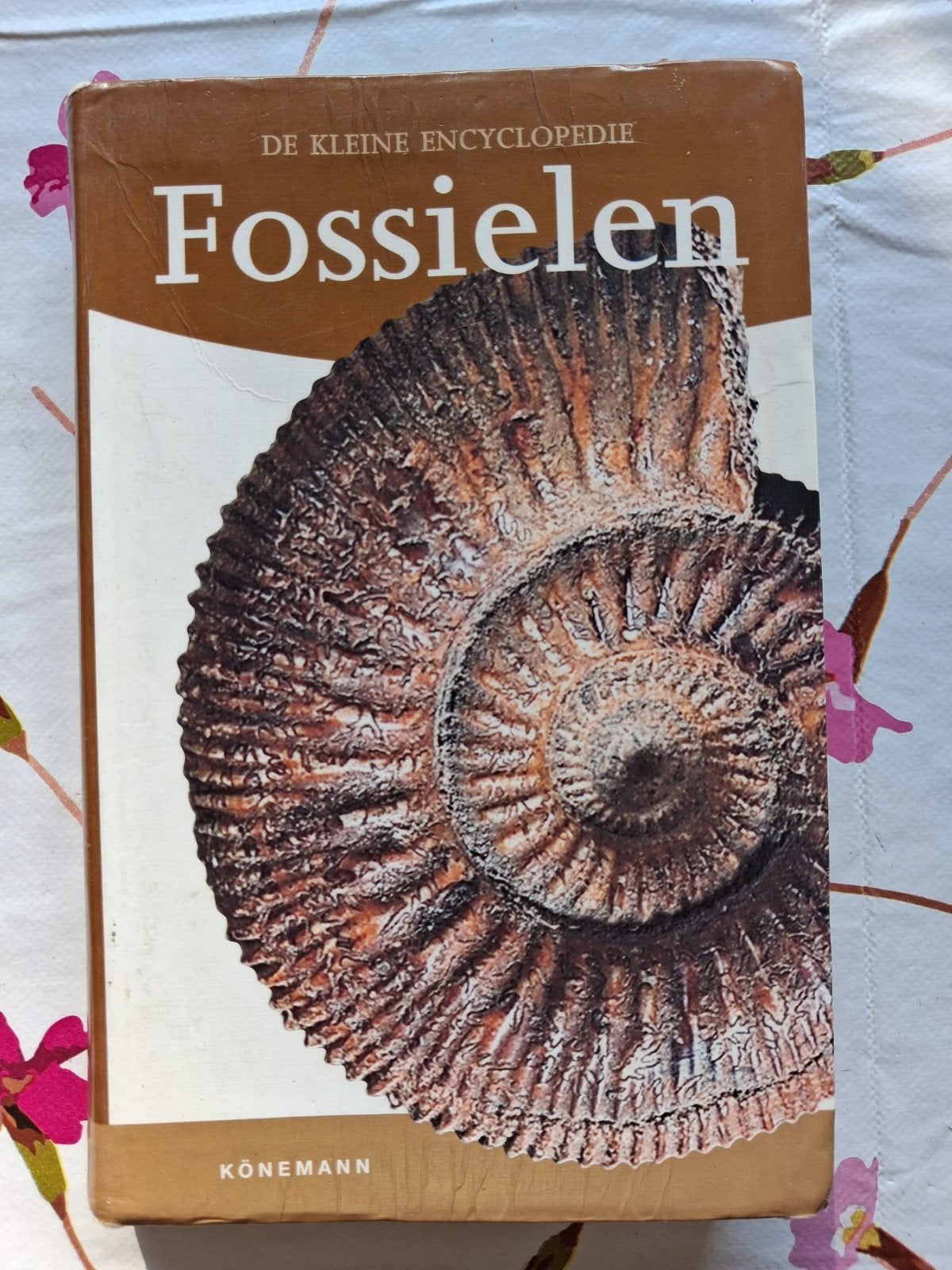De Kleine Encyclopedie - Fossielen, Hervé Chaumeton, Ophalen of Verzenden, Zo goed als nieuw, Natuurwetenschap