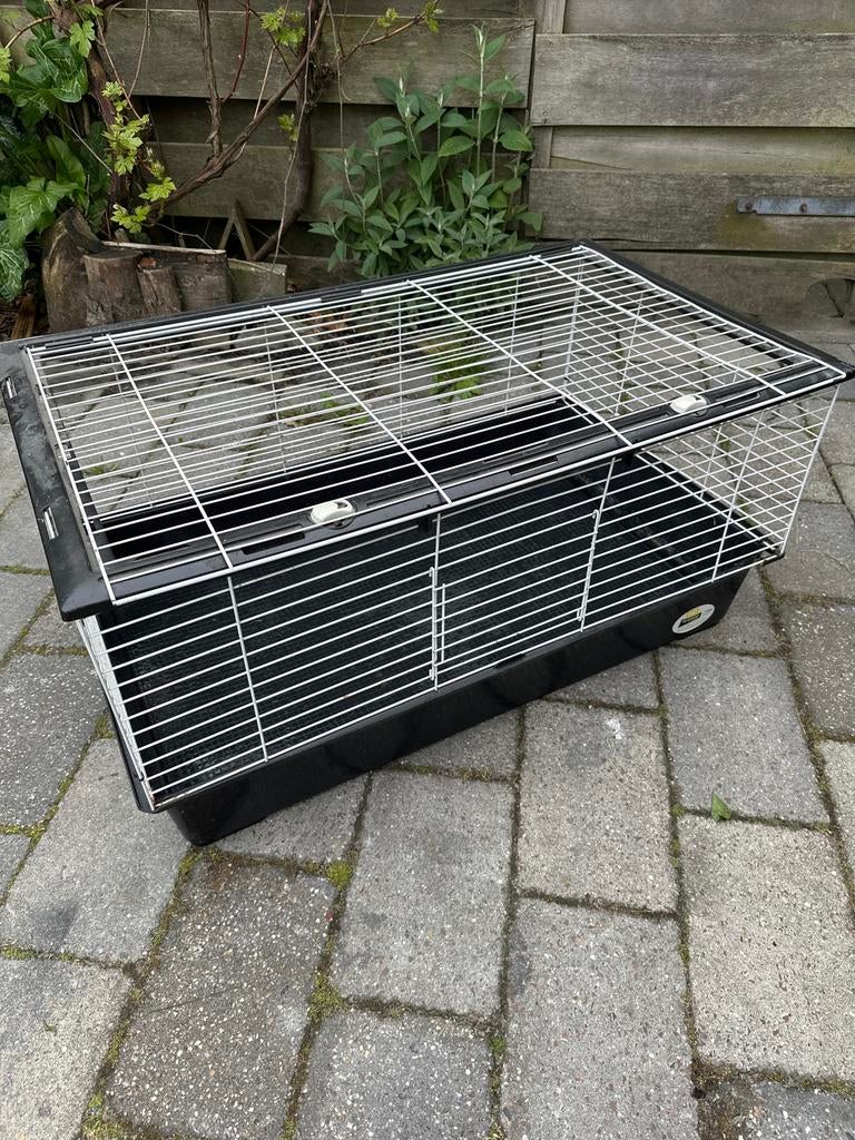 (Knaag) dieren hok 50 x 90 cm, Dieren en Toebehoren, Ophalen, Hok, Cavia, Minder dan 60 cm