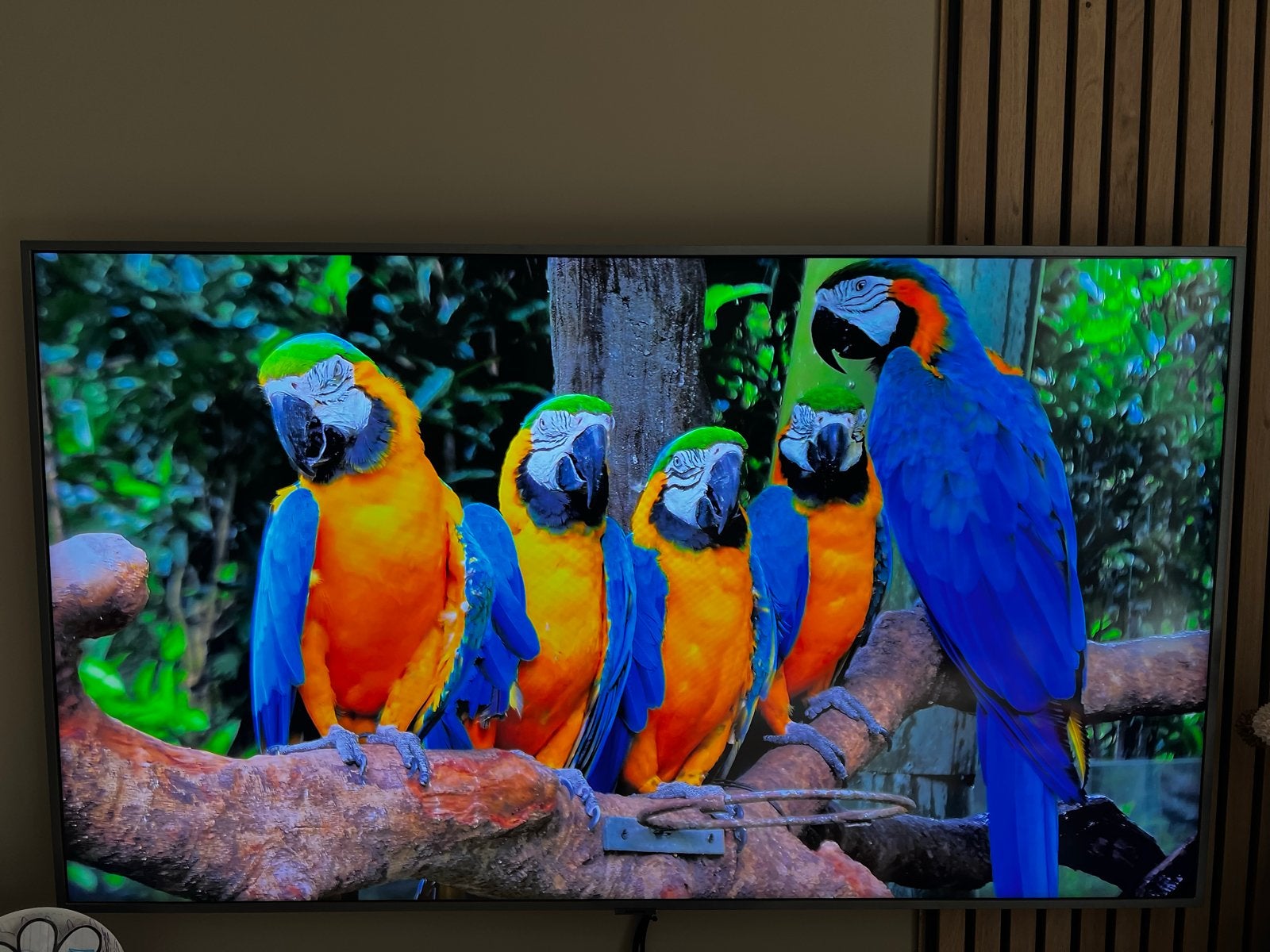 Samsung QLED Smart TV 4K 55 inch, Ophalen, QLED, 50 Hz, Zo goed als nieuw