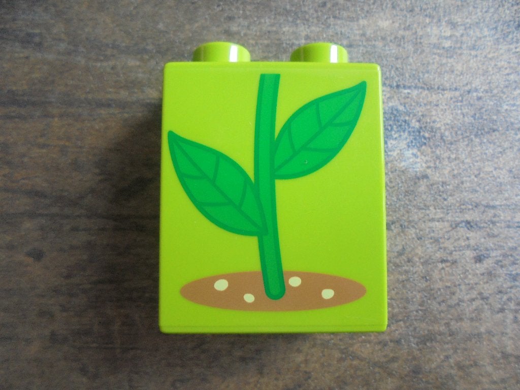 Lego Duplo Brick 1x2x2 (zie foto's), Ophalen of Verzenden, Gebruikt, Losse stenen, Duplo