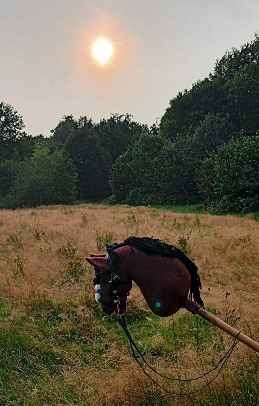 Hobby Horse, Ophalen of Verzenden, Zo goed als nieuw