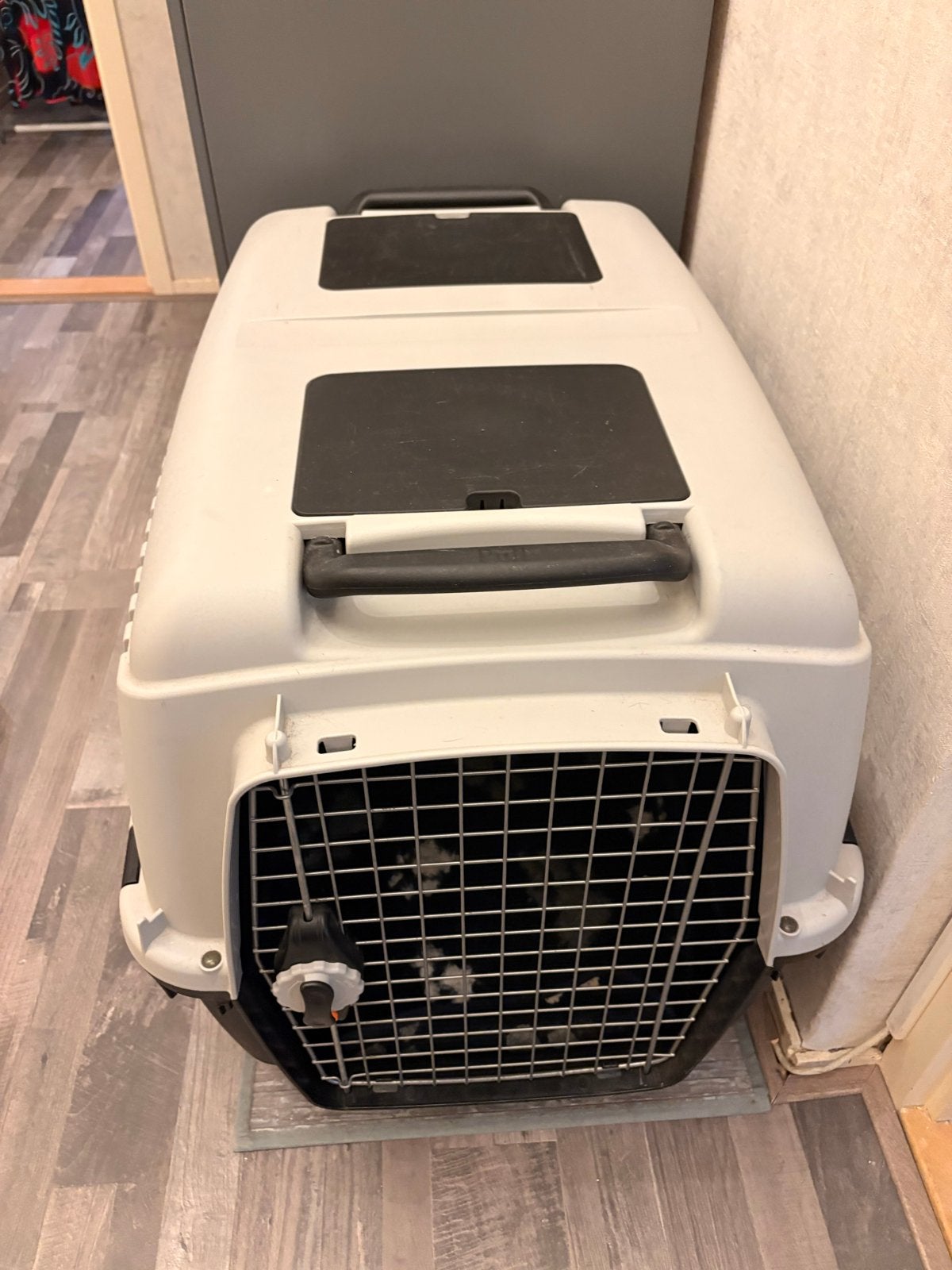 Honden transport box, Dieren en Toebehoren, Ophalen, Gebruikt