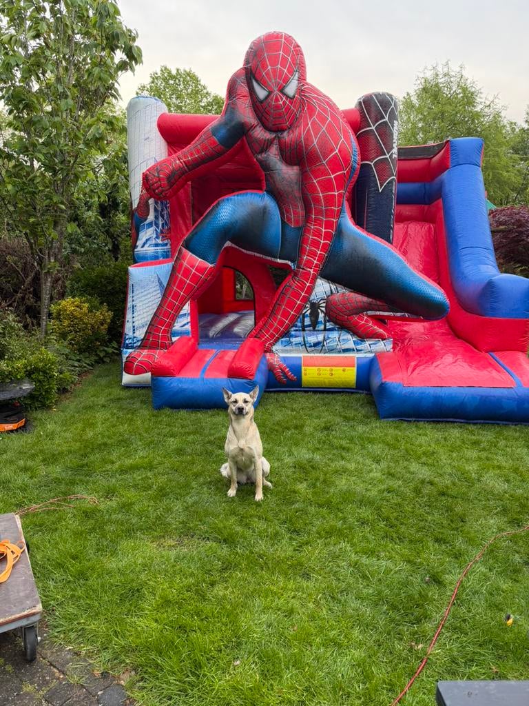 Spiderman springkussen te huur, Ophalen, Zo goed als nieuw