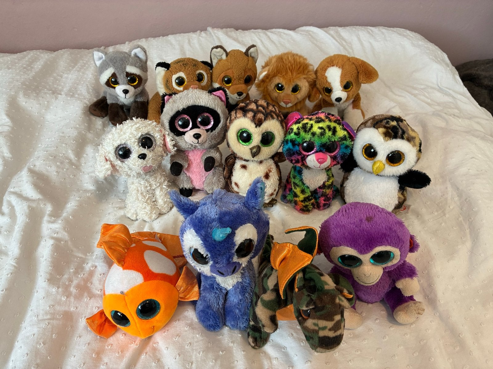 Grote collectie Ty Beanie Boo's knuffels, Zo goed als nieuw, Middelgroot (20 tot 80 cm), Meerkleurig, Ty