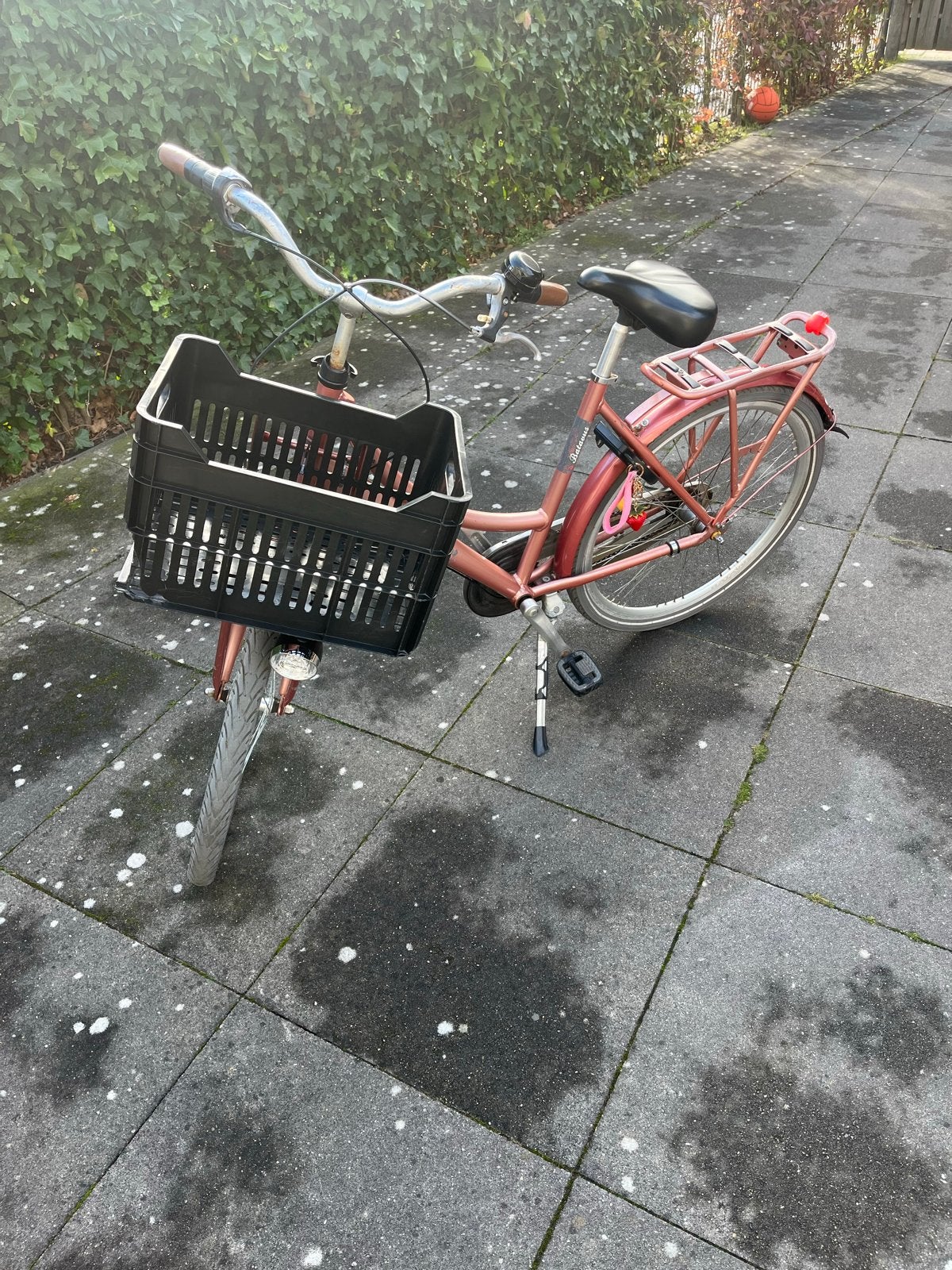 Batavus Damesfiets met Mand - Gebruikt, Ophalen, Gebruikt, Velgrem, Versnellingen