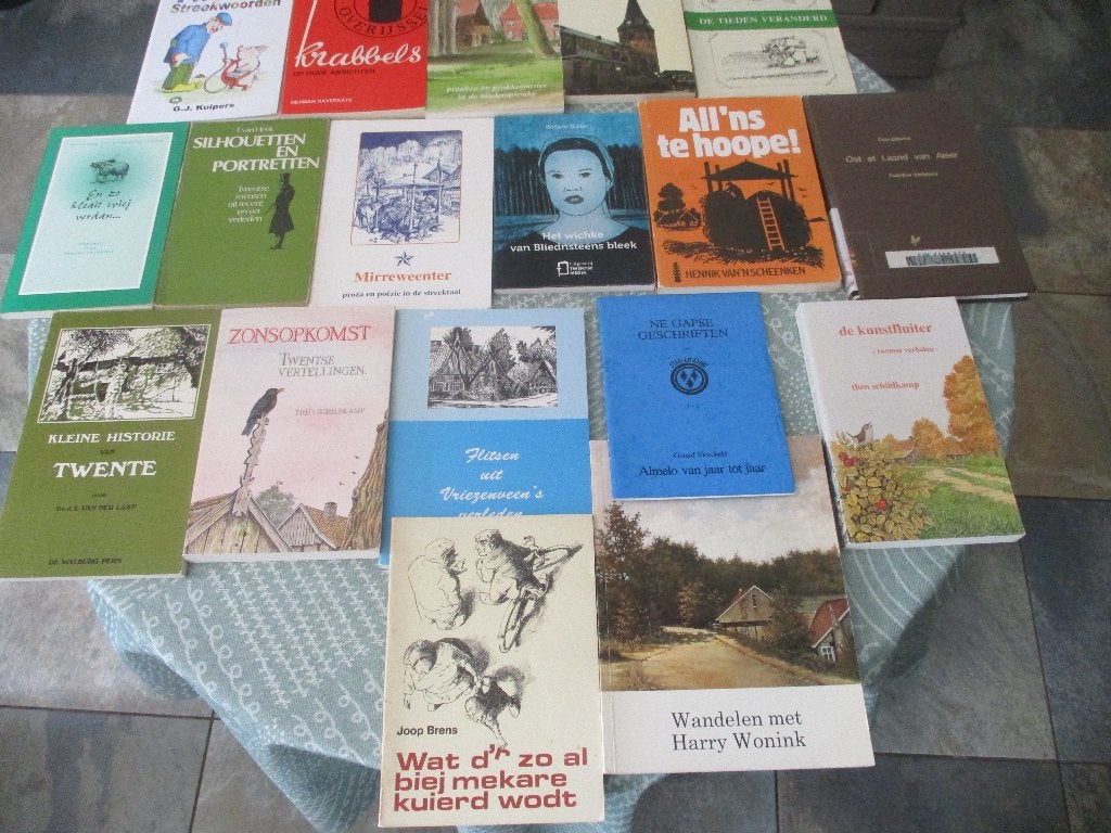 Boeken over en van Twente in dialect Twents, Ophalen of Verzenden, Diverse Twentse auteurs, 20e eeuw of later, Gelezen