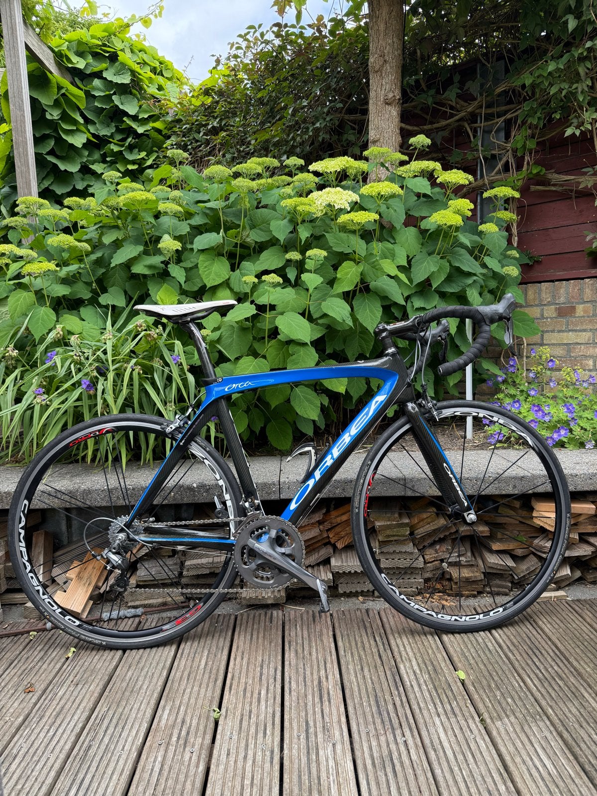 Orbea Orca racefiets - Carbon frame, Dura-Ace afmontage, 28 inch, Gebruikt, Carbon, Meer dan 20 versnellingen