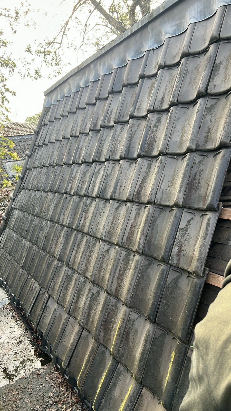 Goede KURTSJENS gebakken dakpannen+nokpannen ca. 1000 stuks, Gebruikt, Steen of Klei, Ophalen of Verzenden, 15 m² of meer