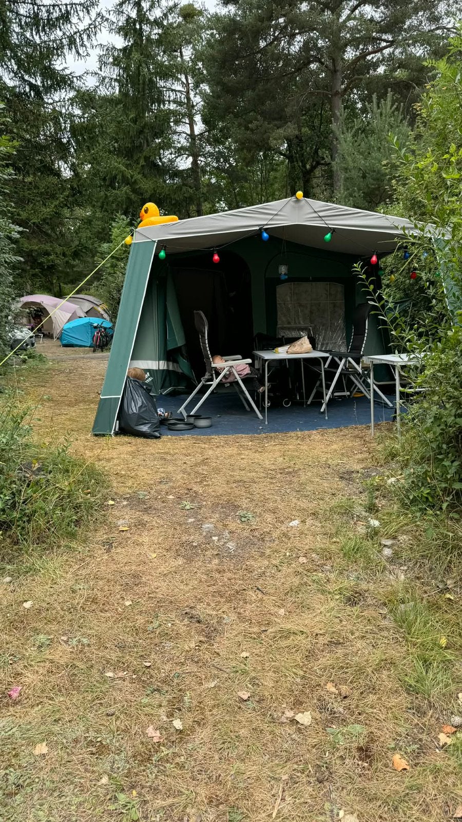 Camplet Royal vouwwagen, Caravans en Kamperen, Vouwwagens, Ophalen, Aanwezig, Camp-Let, Tot en met 4