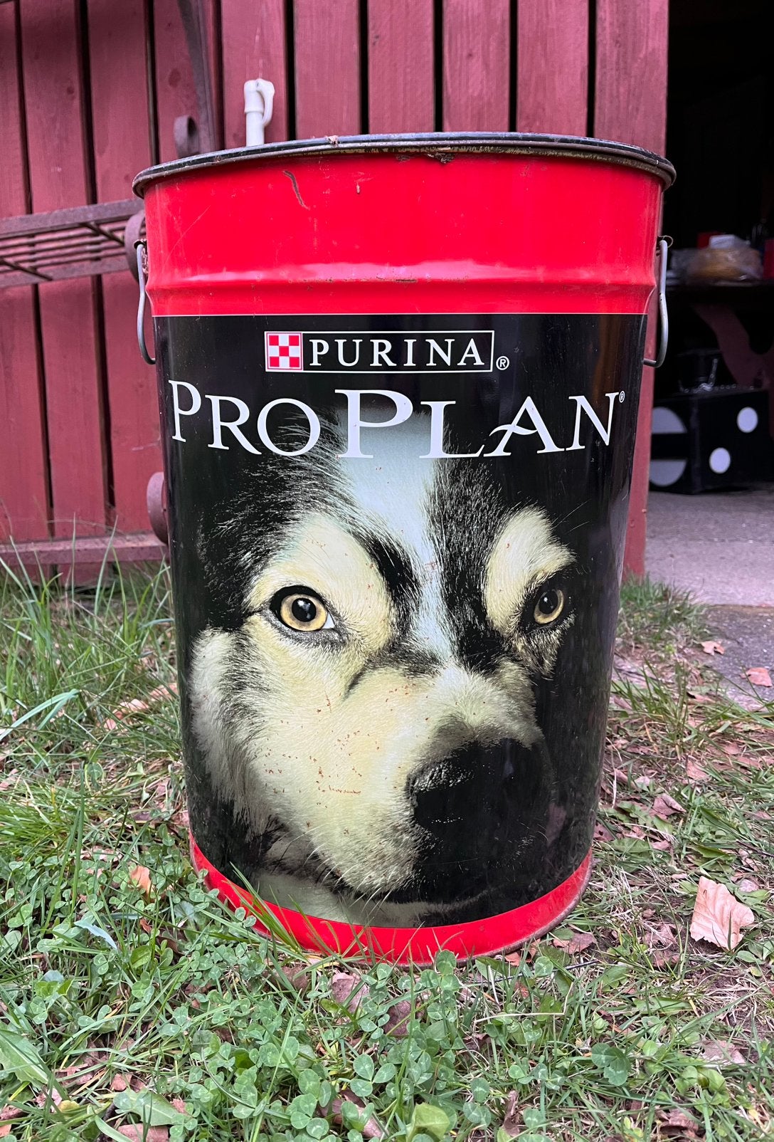 Grote blik met afbeelding hond Purina ProPlan, Kunststof, 40 liter of meer, Ophalen of Verzenden, Zo goed als nieuw