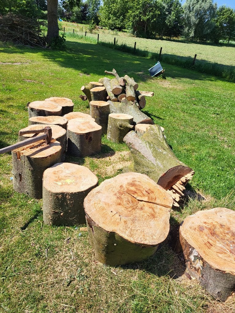 Beukenhout boomstammen gezaagd, 3 tot 6 m³, Ophalen, Beukenhout, Stammen