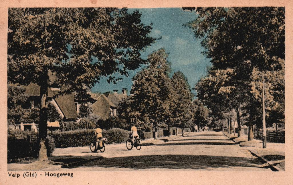 Velp, Hoogeweg (1949) 131269, Ophalen of Verzenden, 1940 tot 1960, Gelopen, Gelderland