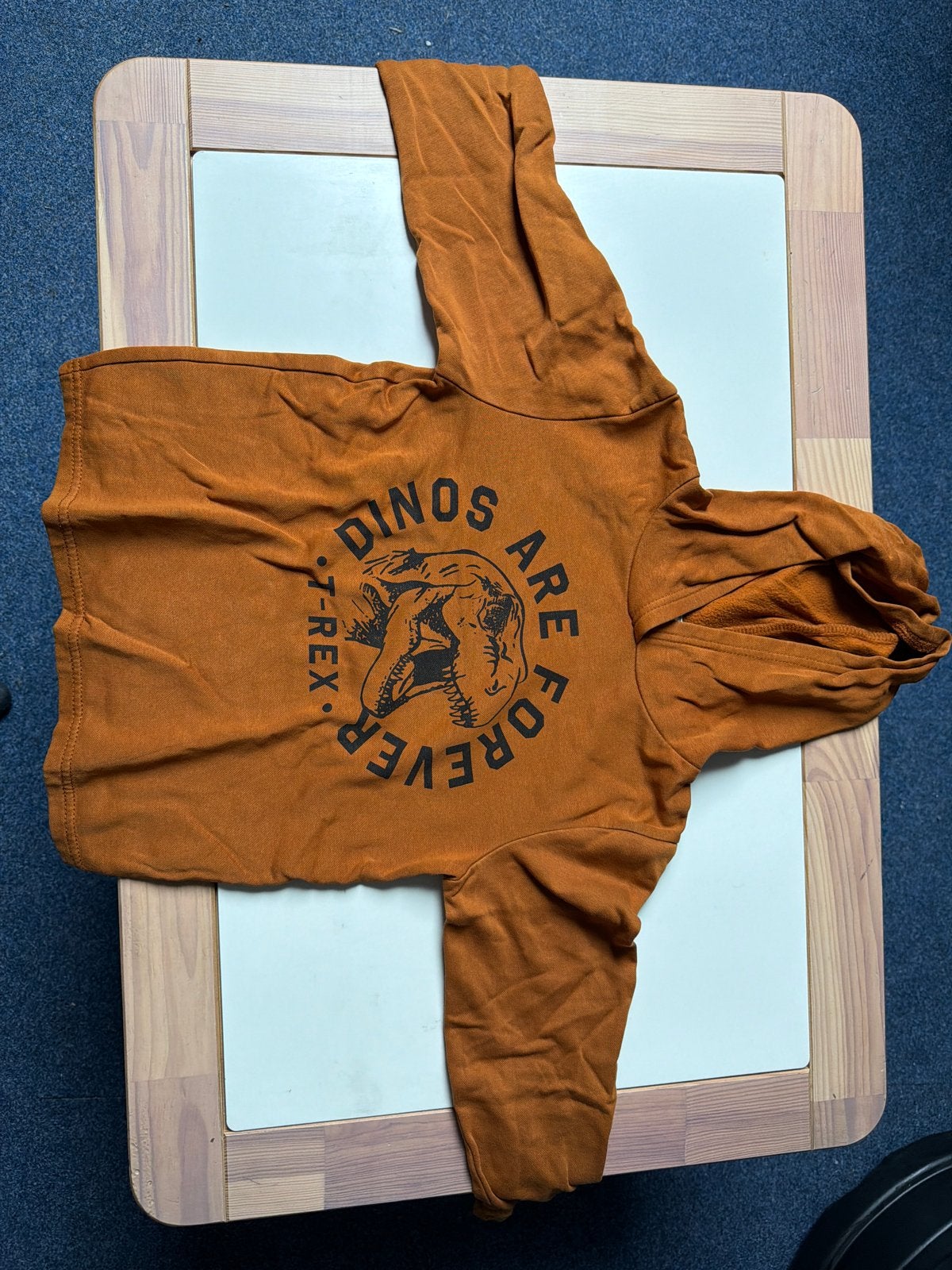 Trui maat 122/128 - Dinos are forever, Ophalen, Gebruikt, Jongen, Trui of Vest