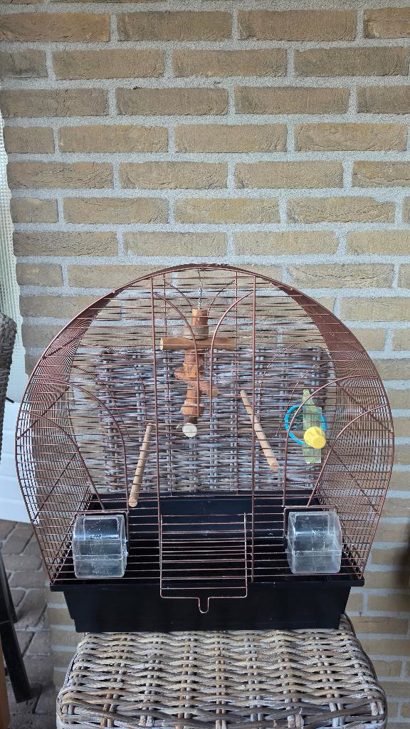 Vogelkooi, Dieren en Toebehoren, Vogels | Hokken en Kooien, Ophalen, Gebruikt, Overige materialen, Vogelkooi