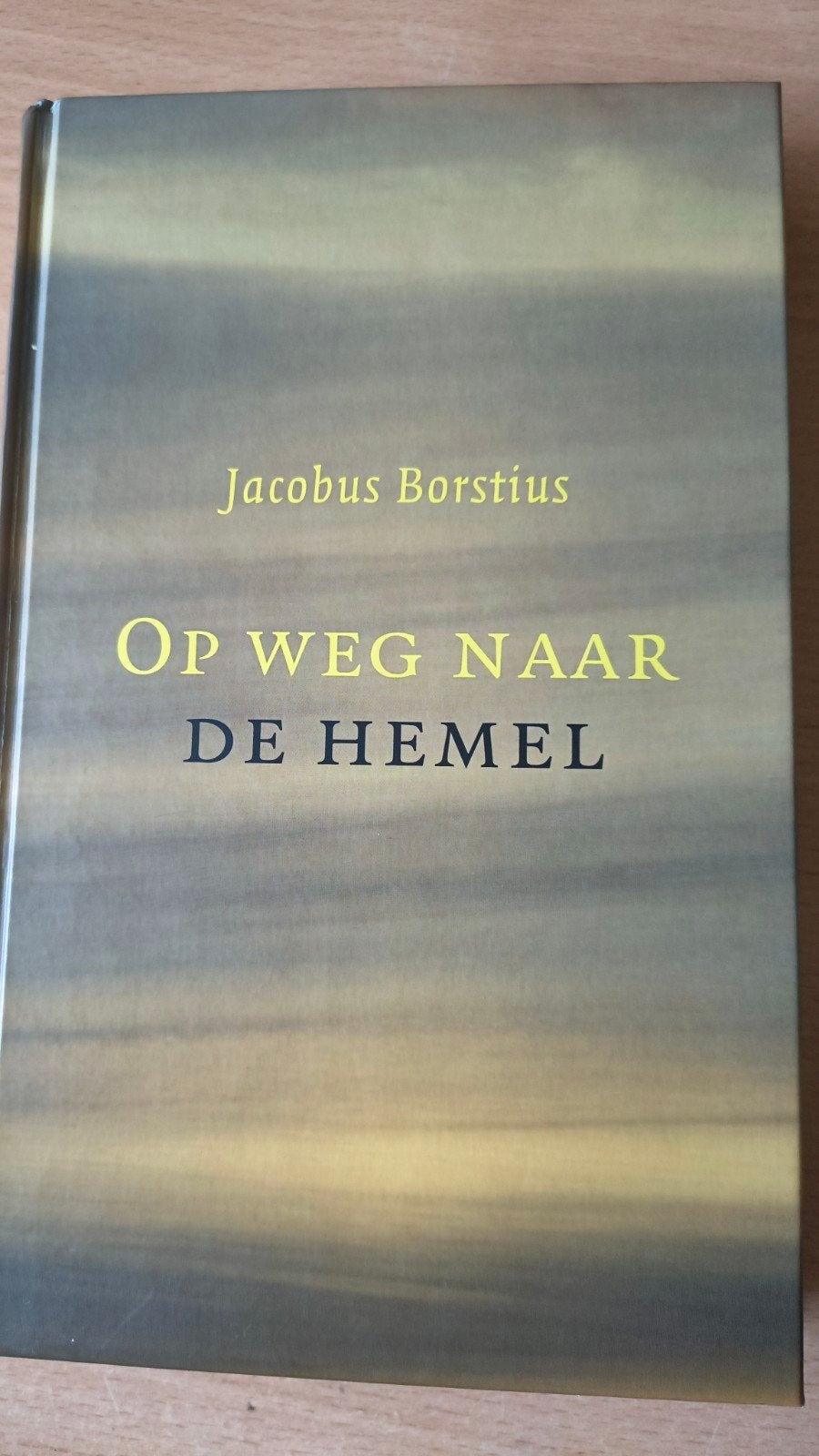Op weg naar de Hemel. Jacobus Borstius, Ophalen of Verzenden, Zo goed als nieuw, Jacobus Borstius, Christendom | Protestants