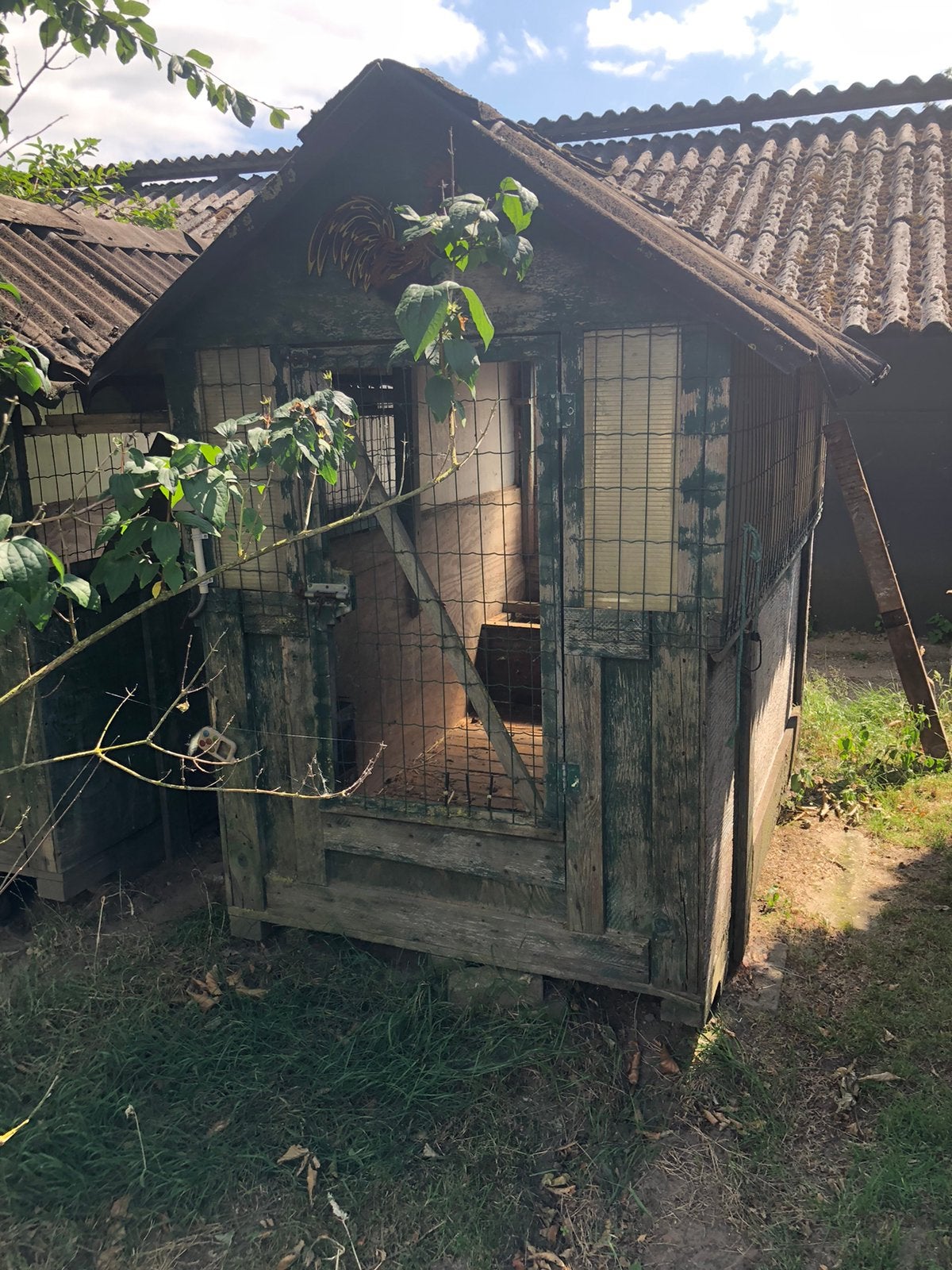 Kippenhok te koop, Ophalen, Gebruikt, Kippenhok of Kippenren