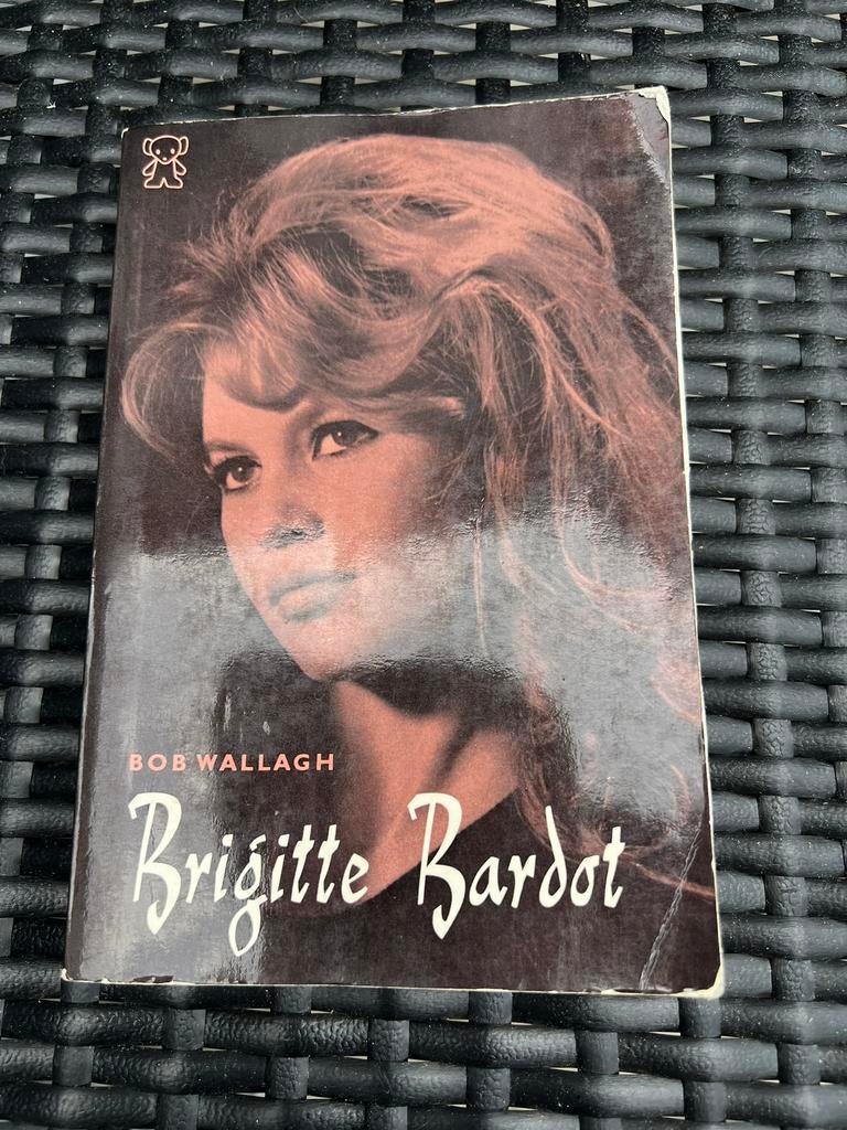 Pocket boekje, Boeken, Ophalen of Verzenden, Zo goed als nieuw