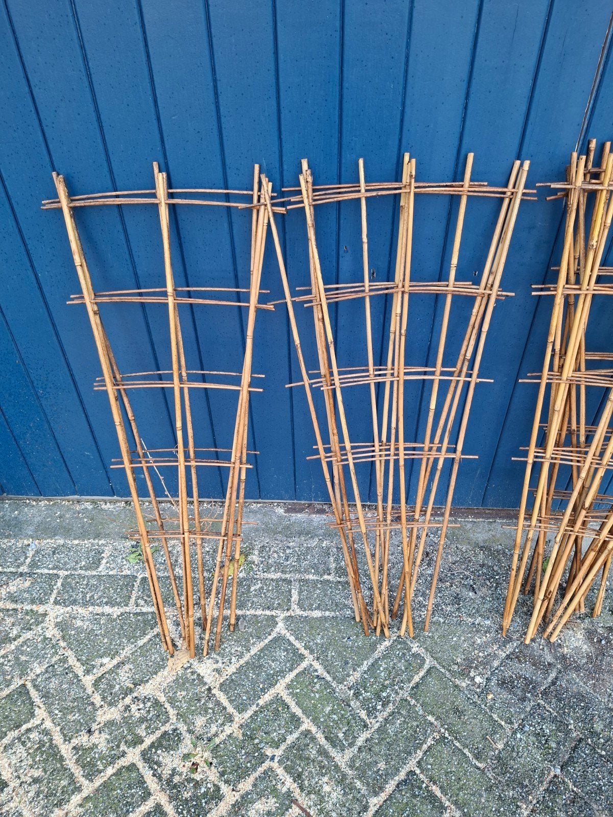 Bamboe klimrekken voor tuin en planten 110 cm hoog, Volle zon, Vaste plant, Ophalen of Verzenden, Bloeit niet