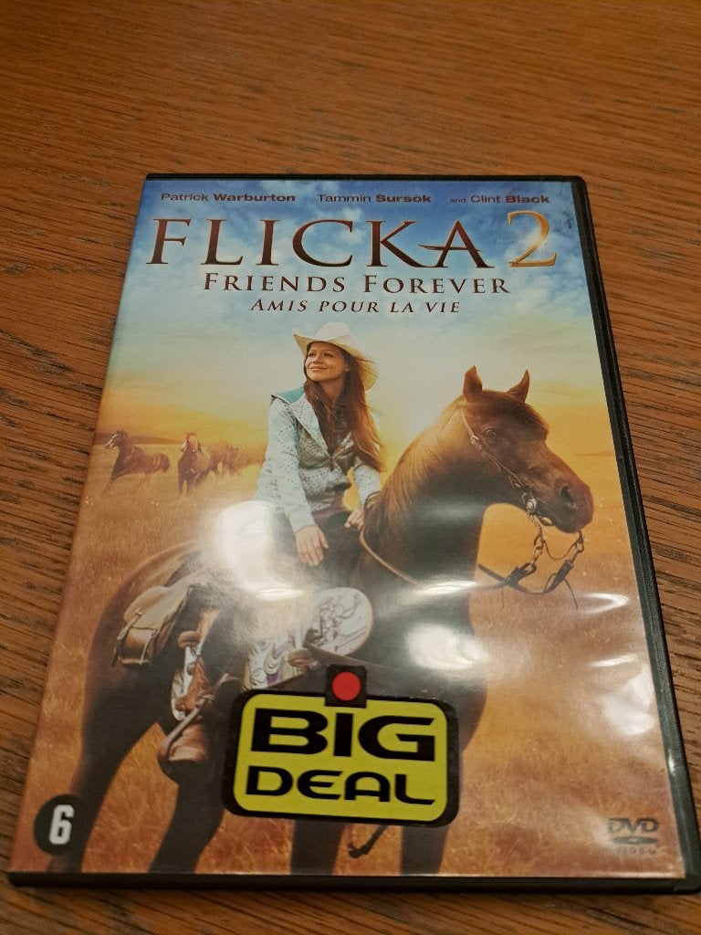 dvd flicka 2, Alle leeftijden, Ophalen of Verzenden, Gebruikt
