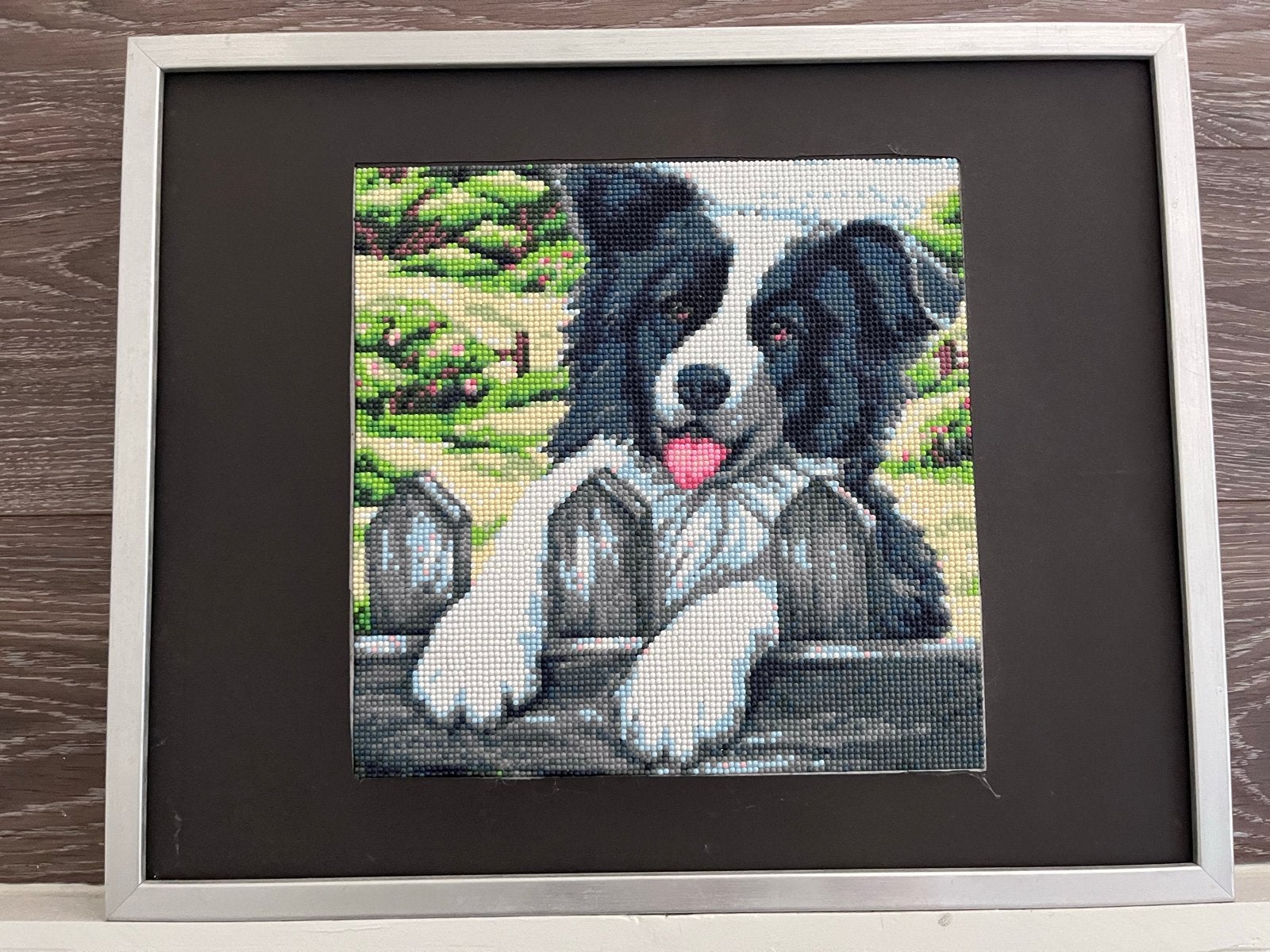 Diamond Painting Border Collie in lijst, Ophalen