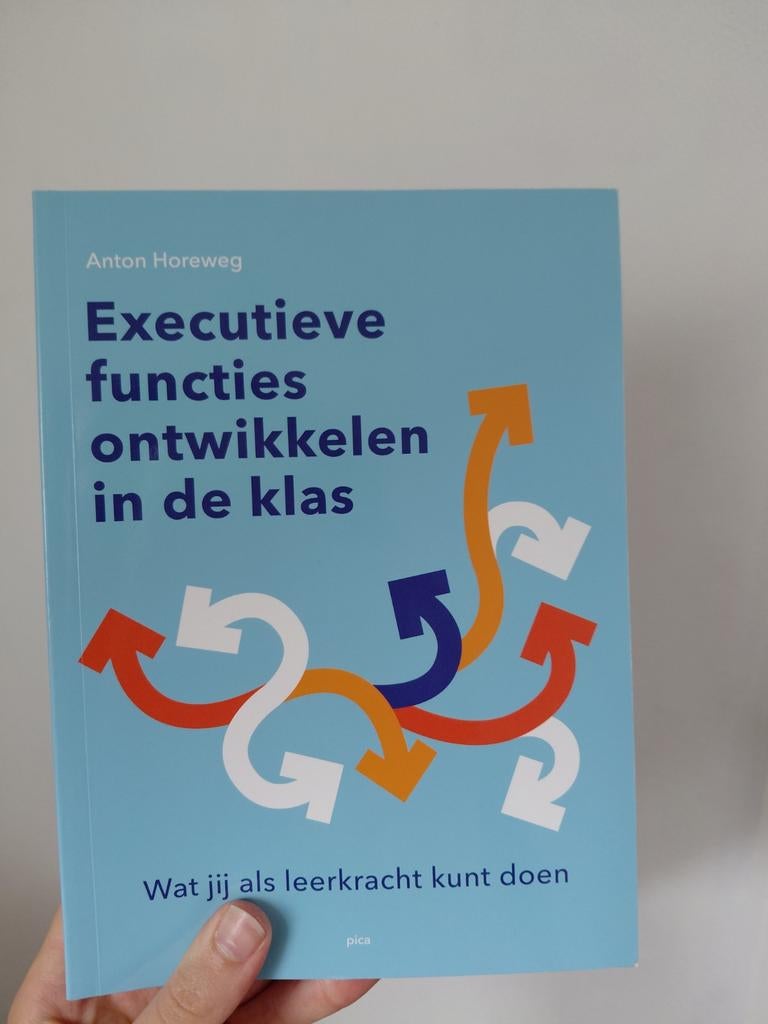 Executieve functies - Anton Horeweg, Boeken, Overige vakken, Ophalen of Verzenden, Zo goed als nieuw, Anton Horeweg