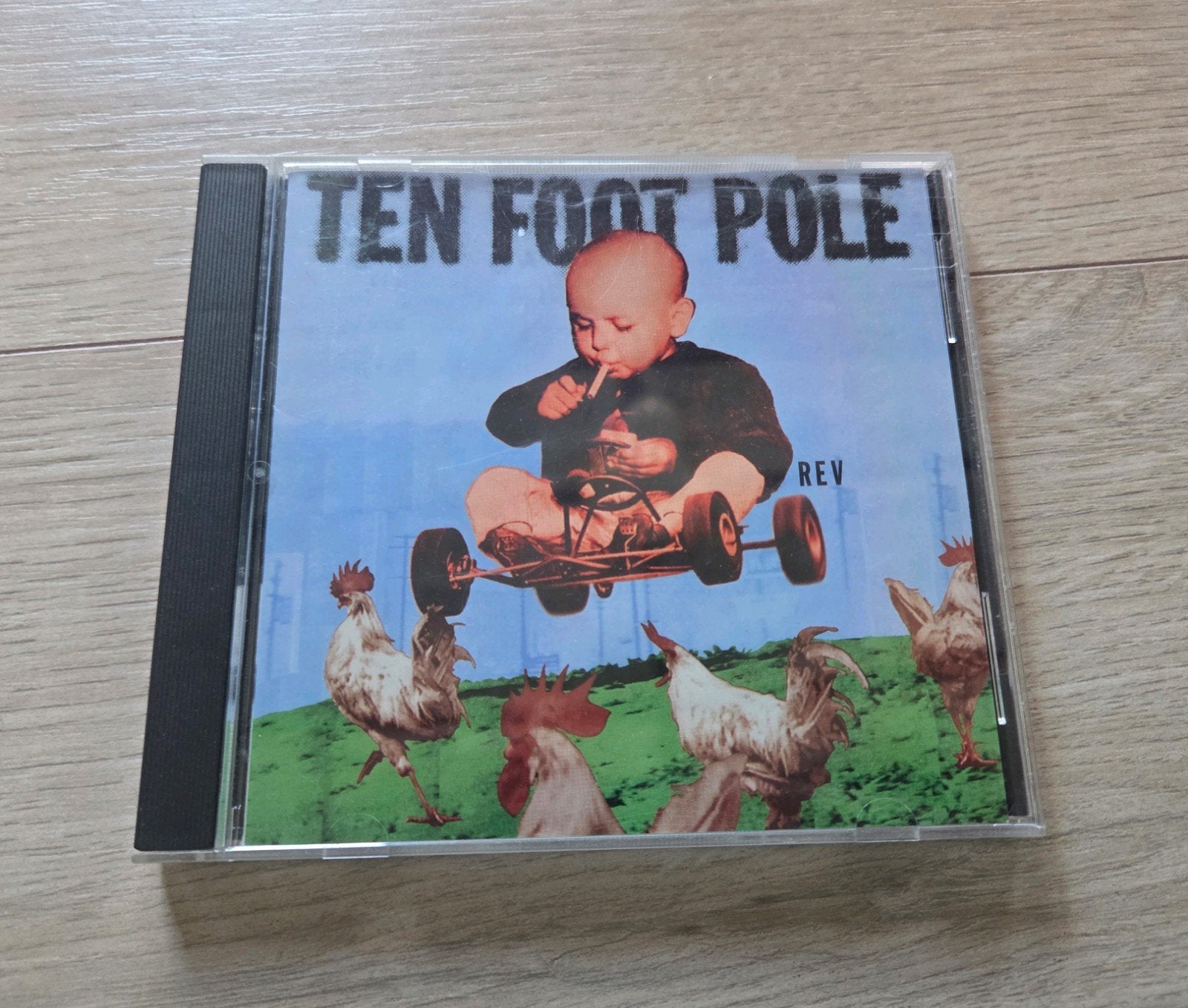 Ten Foot Pole - Rev, Ophalen of Verzenden, Zo goed als nieuw, Punk Rock, Album