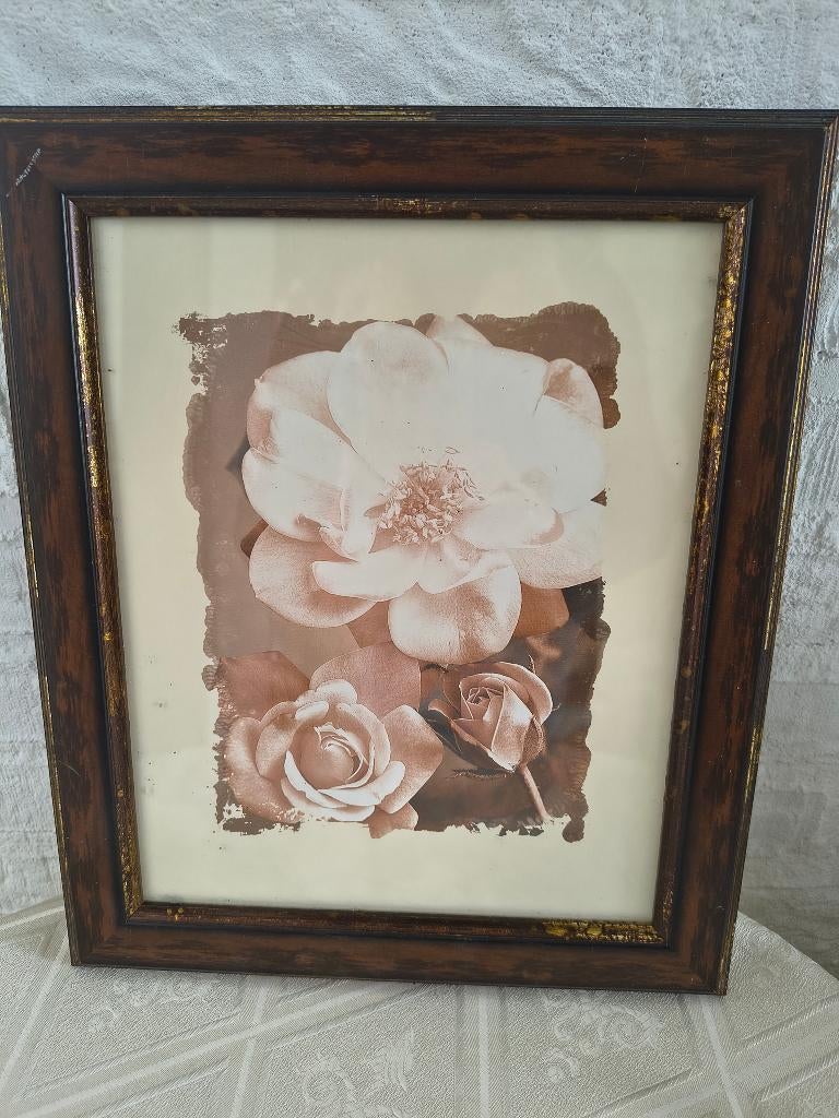 Schilderij met Rozen B.25xH.30 cm, Ophalen, Minder dan 50 cm, Zo goed als nieuw, Schilderij