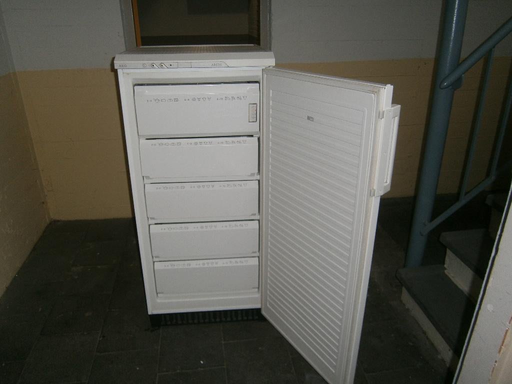 Groot Model Vrieskast Merk Aeg, Witgoed en Apparatuur, Vriezers en Diepvrieskisten, 120 tot 140 cm, Minder dan 60 cm, Zo goed als nieuw
