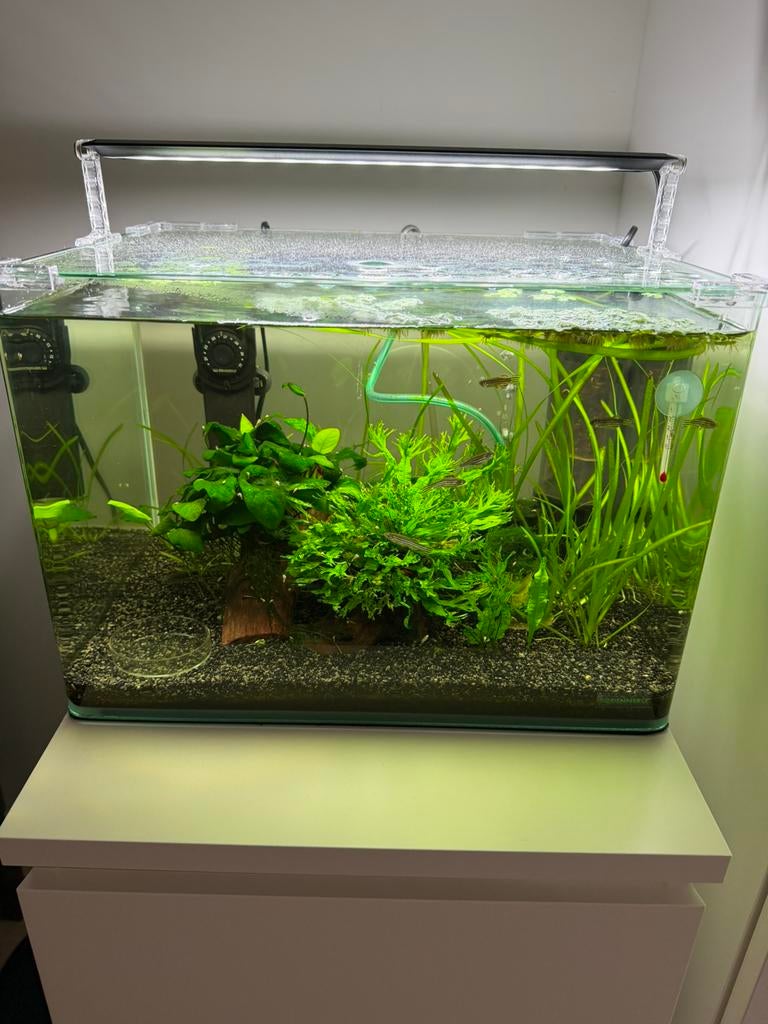 Dennerle nano cube, Dieren en Toebehoren, Ophalen, Zo goed als nieuw, Leeg aquarium