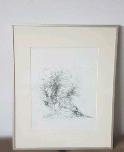 Originele Litho Jaap Kruijff vrouwen 194/200, Ophalen