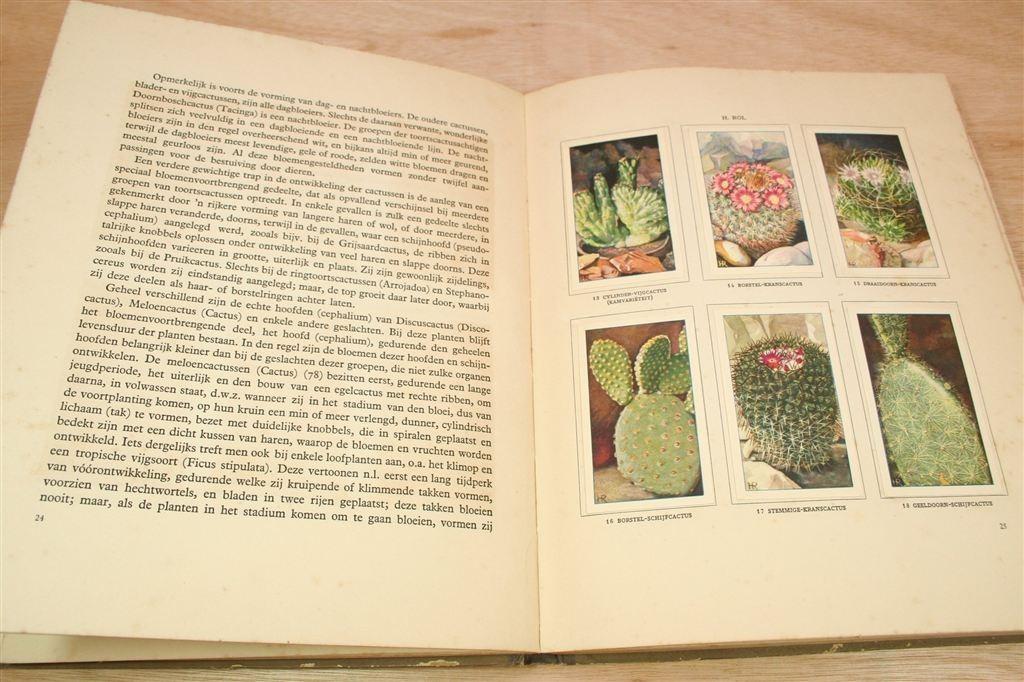 Cactussen — Compleet Verkade Plaatjesalbum [1931], Ophalen of Verzenden, Gelezen