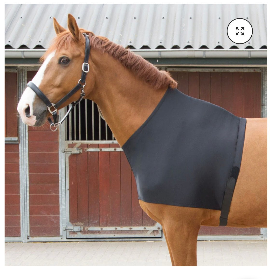 Halsbeschermer voor onder de paardendeken, Overige merken, Cob (M), Halsdeken, Schoftbescherming